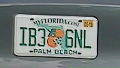 License plate crop of IB36NL from the Viewtron LPR camera