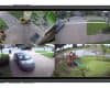 remote security camera view from iPhone App