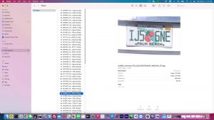 license plate image export