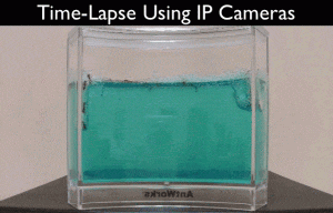 Time Lapse IP Camera