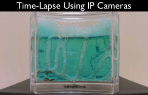 Time-Lapse Photography with IP Camera
