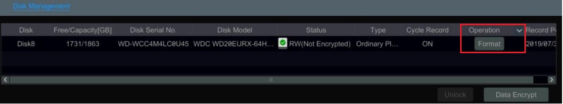 Viewtron Disk Management screen with the Format button highlighted for a new hard drive