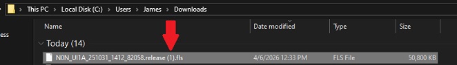 Windows Downloads folder showing a Viewtron firmware file named with release (1).fls