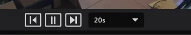 Viewtron VMS for Mac toolbar close-up showing the pause button and 20s interval