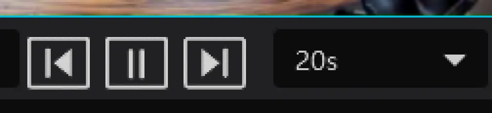Viewtron VMS for Windows toolbar close-up showing the pause button while Auto-Switch is running